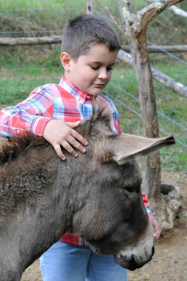 Agriturismo L'Accolta ตัวโร ซุล ตราซิเมโน ภายนอก รูปภาพ